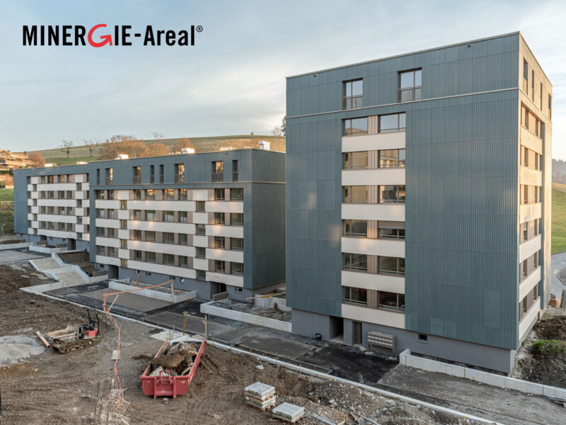 Baustelle Dez 25 Lindenmatt West Bolligen 20 Logo