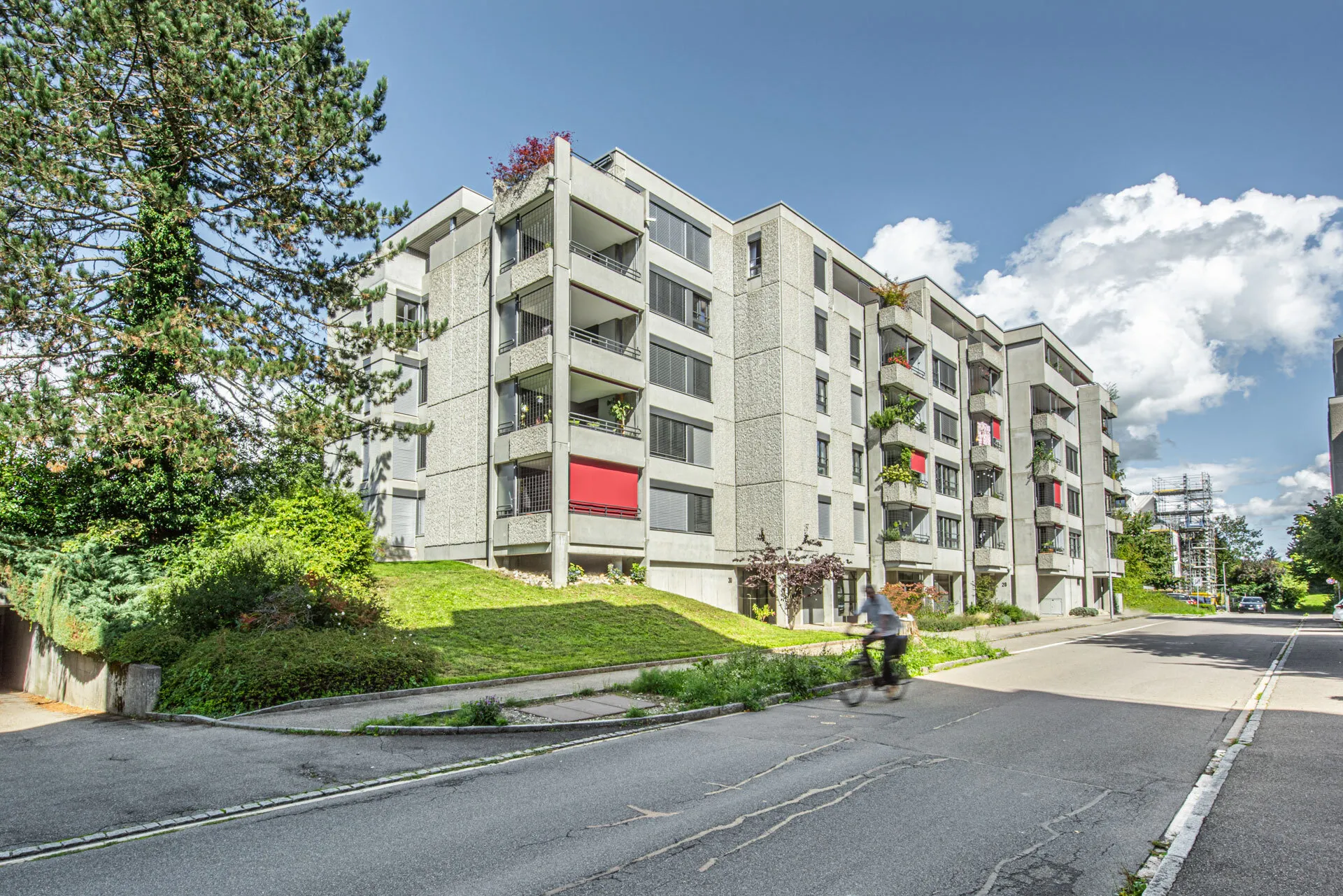 Thoracker Muri 28_30 03