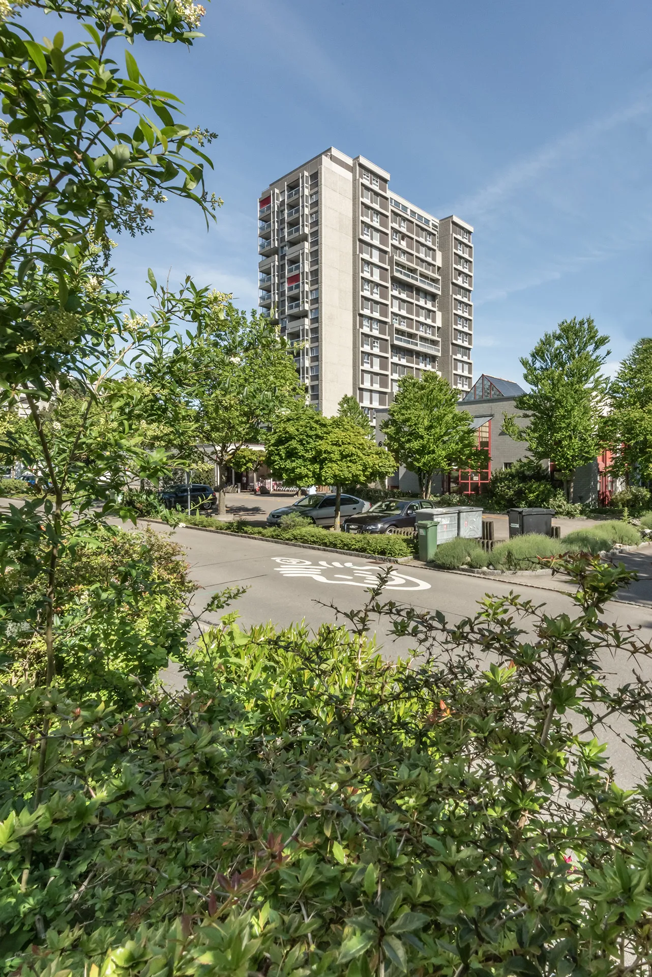 Thoracker Muri 16_18 02