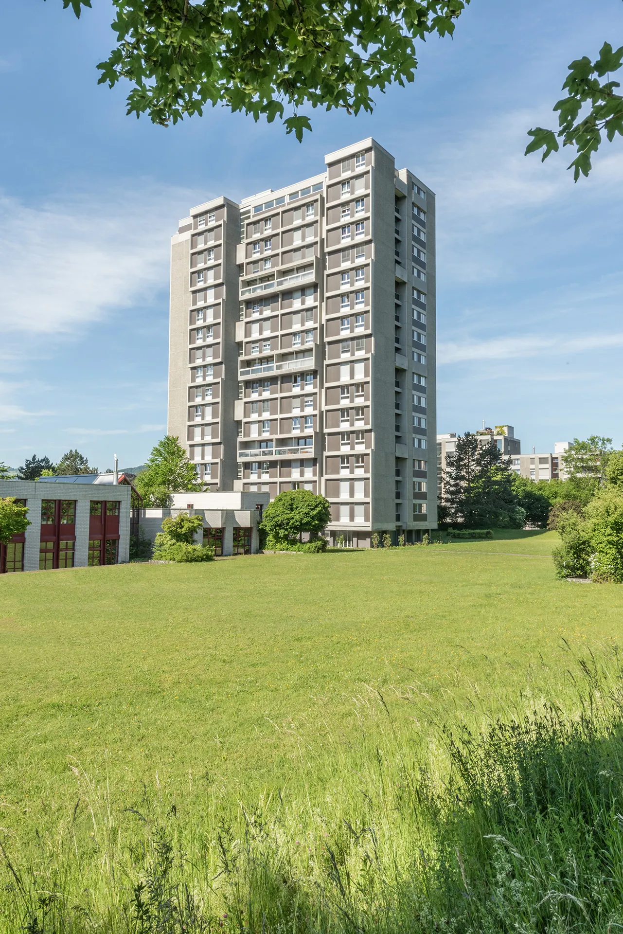 Thoracker Muri 16_18 03