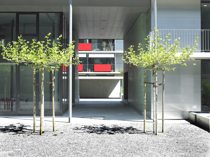 Ueberbauung von Roll Bern VQ